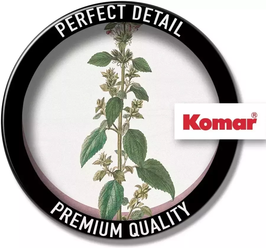 Komar Wanddecoratie Menthe en Croissance Wanddecoratie zonder lijst (1 stuk) - Foto 2