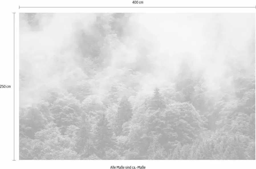 Komar Vliesbehang Hefele Forest Land (1 stuk) - Foto 3