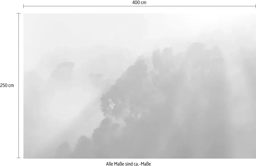 Komar Vliesbehang Misty Mountain (1 stuk) - Foto 3