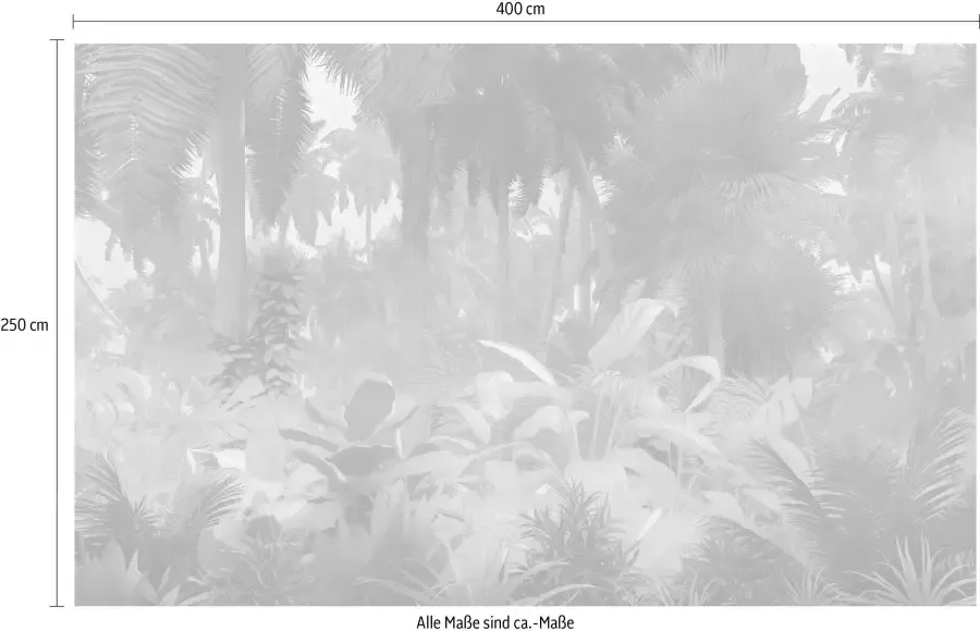 Komar Vliesbehang Pure Misty Jungle (1 stuk) - Foto 3