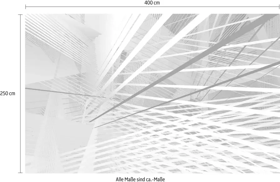 Komar Vliesbehang Digitale print vlies Space Grid Spring Afmeting 400 x 250 cm (1 stuk) - Foto 3