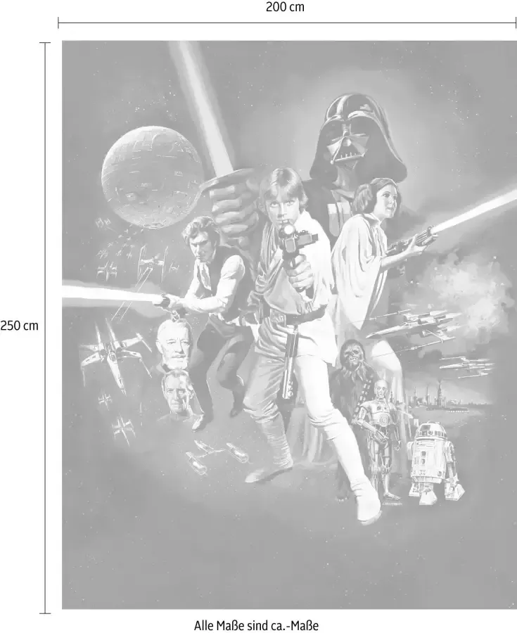 Komar Vliesbehang Star Wars Poster Classic 1 (1 stuk) - Foto 2