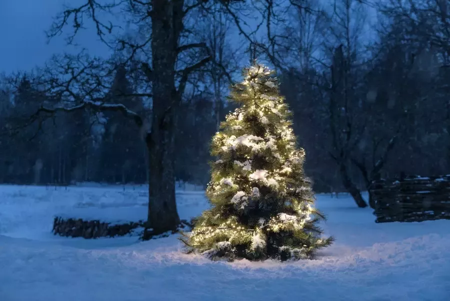 KONSTSMIDE Led-lichtsnoer Clusterverlichting Cluster kerstversiering buiten - Foto 2