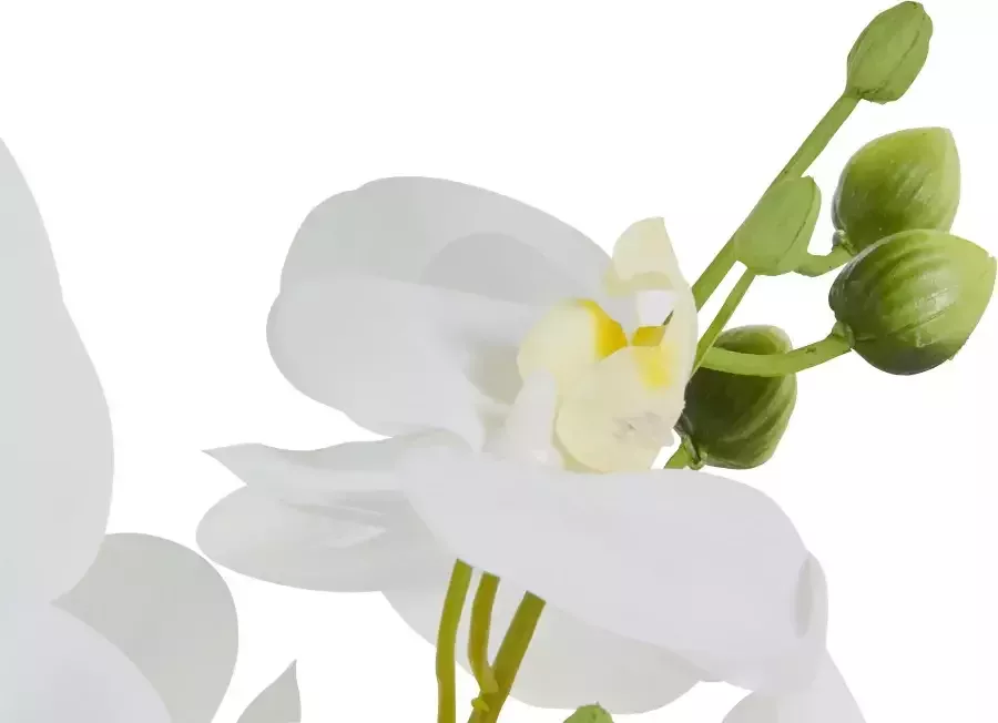 Leonique Kunstplant Orchidee Kunstorchidee in pot bestseller meer dan 2500 4 5-sterren beoordelingen (1 stuk) - Foto 3