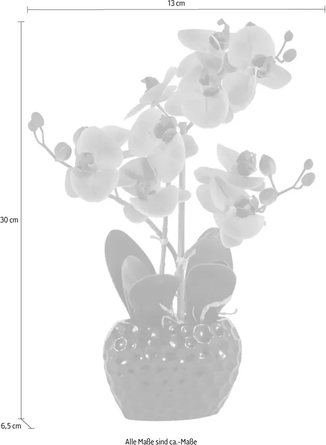 Leonique Kunstplant Orchidee Kunstorchidee in een pot (1 stuk) - Foto 4