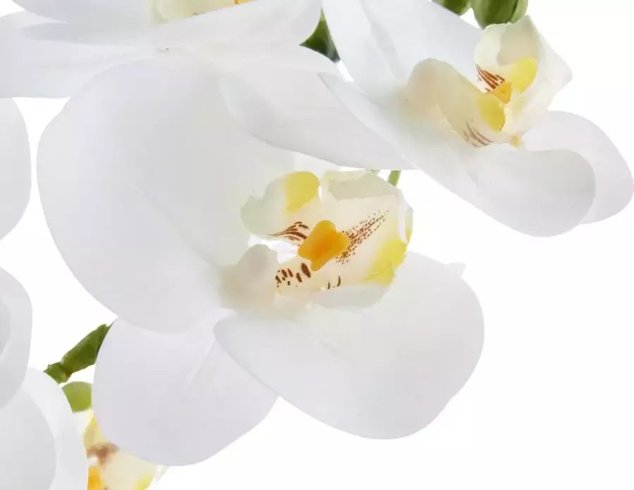 Leonique Kunstplant Orchidee Kunstorchidee in een pot (1 stuk) - Foto 1
