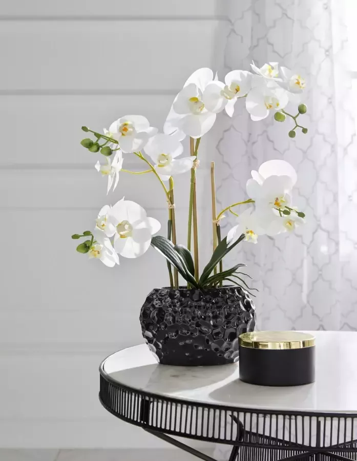 Leonique Kunstplant Orchidee Kunstorchidee in een pot (1 stuk) - Foto 3