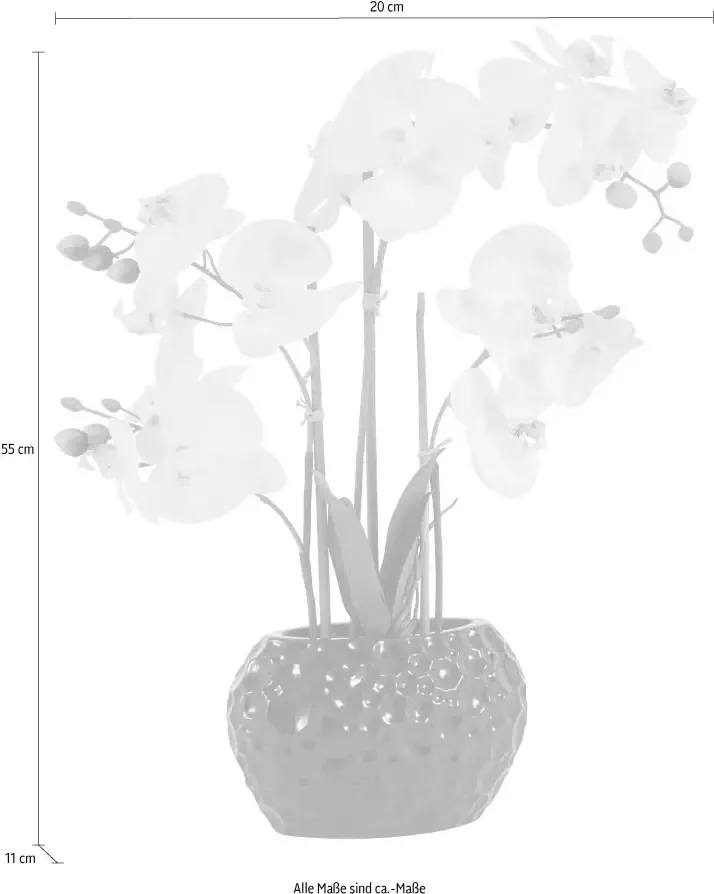 Leonique Kunstplant Orchidee Kunstorchidee in een pot (1 stuk) - Foto 2