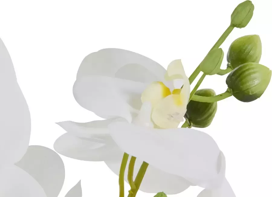 Leonique Kunstplant Orchidee Kunstorchidee in een pot (1 stuk) - Foto 4