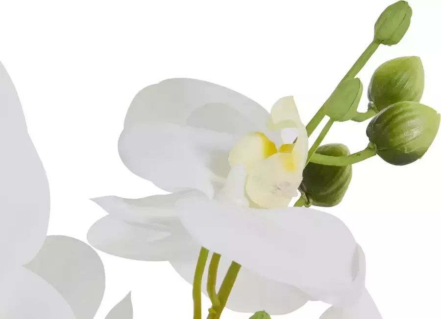 Leonique Kunstplant Orchidee Kunstorchidee in pot bestseller meer dan 2500 4 5-sterren beoordelingen (1 stuk) - Foto 4