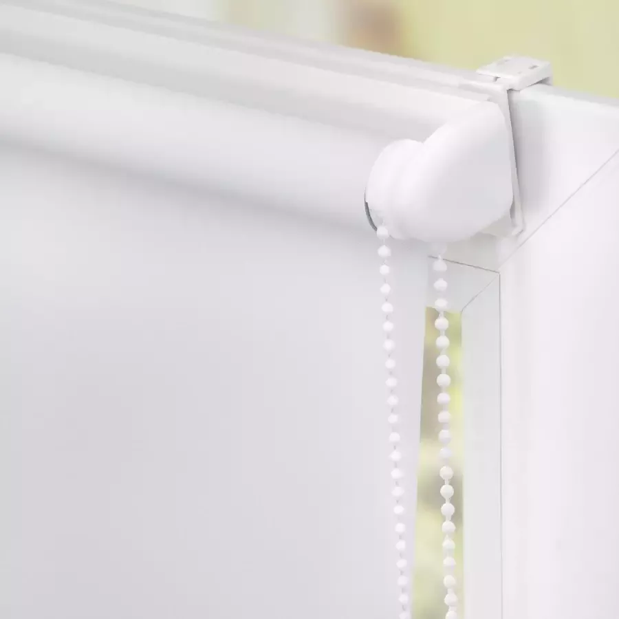 LICHTBLICK Rolgordijn met zijbediening Klemmfix digitaal Dino (1 stuk) - Foto 2