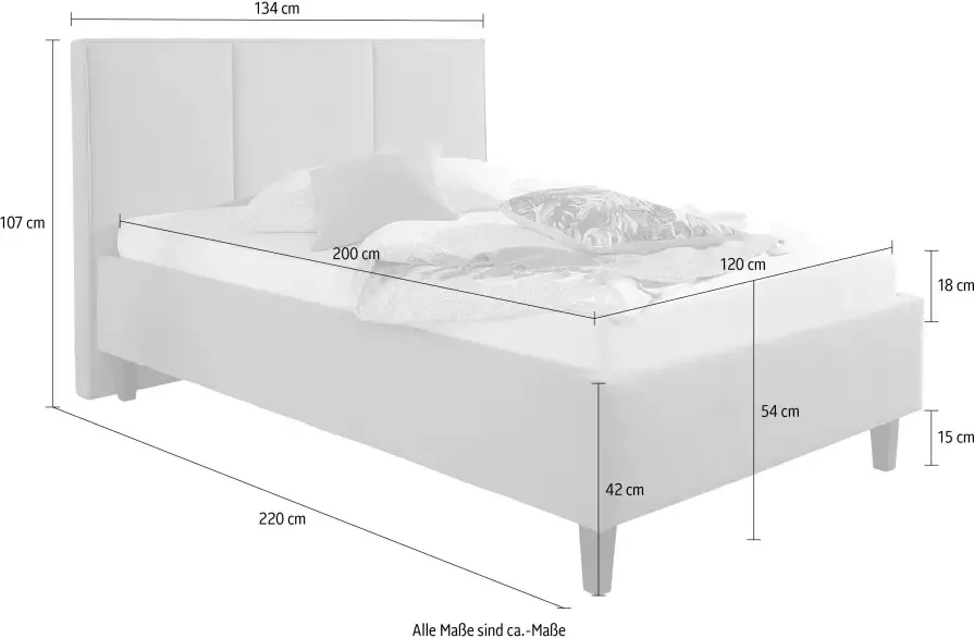 Maintal Gestoffeerd bed inclusief bedkist - Foto 8