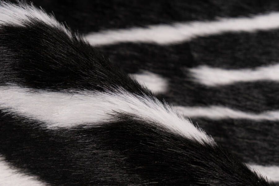 Kayoom Desert Zebra Vloerkleed Zwart Wit
