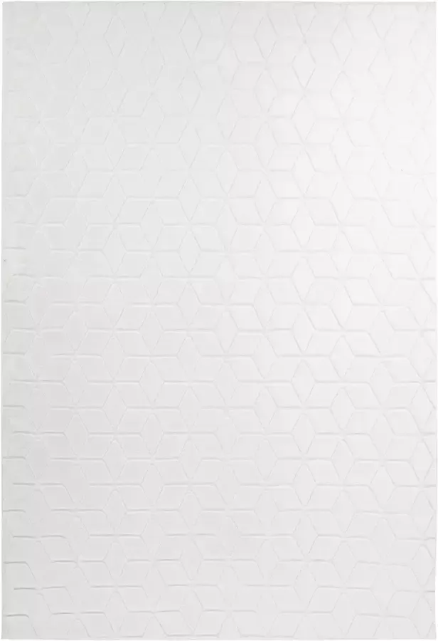 Calo-deluxe Vloerkleed Jardan-1000 bijzonder zacht door microvezel woonkamer - Foto 2