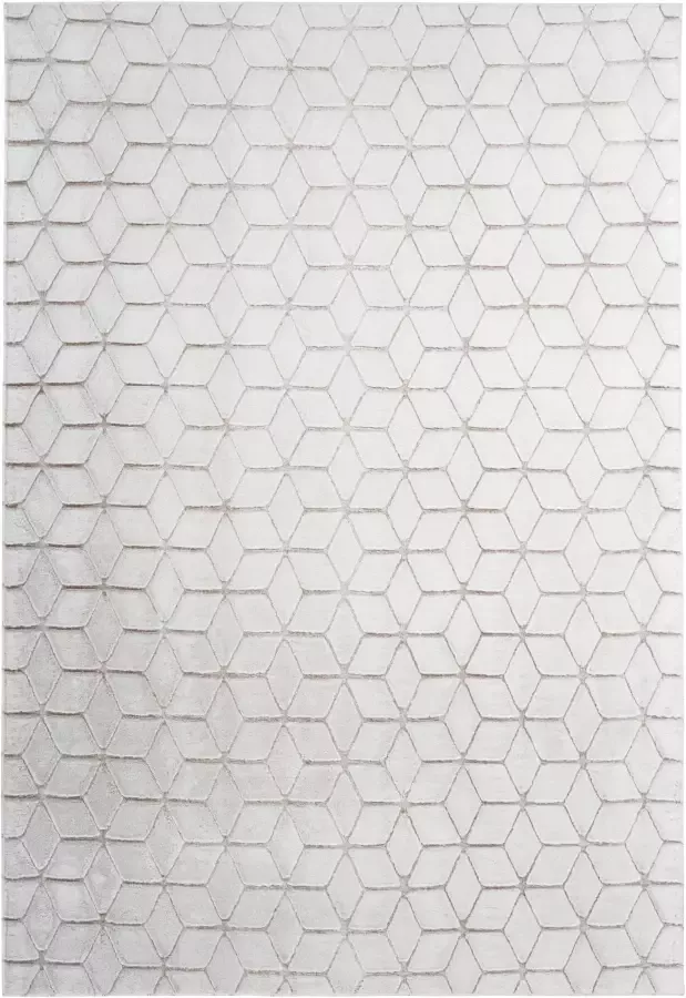 Calo-deluxe Vloerkleed Jardan-1000 bijzonder zacht door microvezel woonkamer - Foto 2
