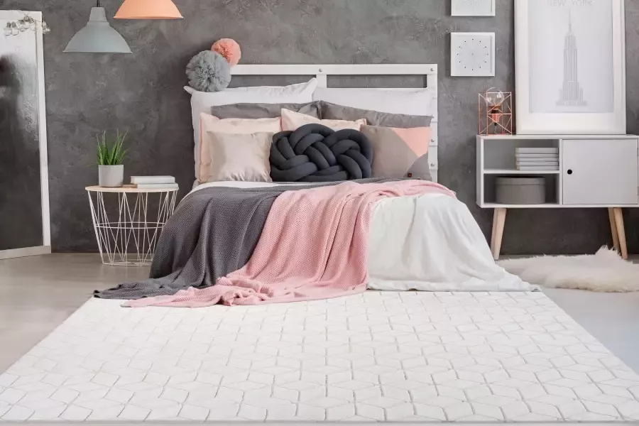 Calo-deluxe Vloerkleed Jardan-1000 bijzonder zacht door microvezel woonkamer - Foto 5