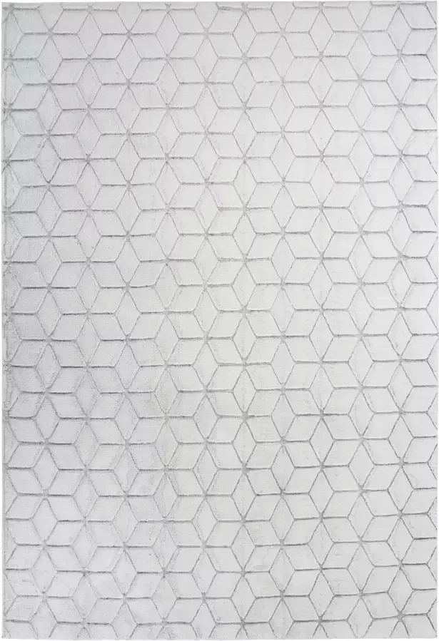 Calo-deluxe Vloerkleed Jardan-1000 bijzonder zacht door microvezel woonkamer - Foto 2
