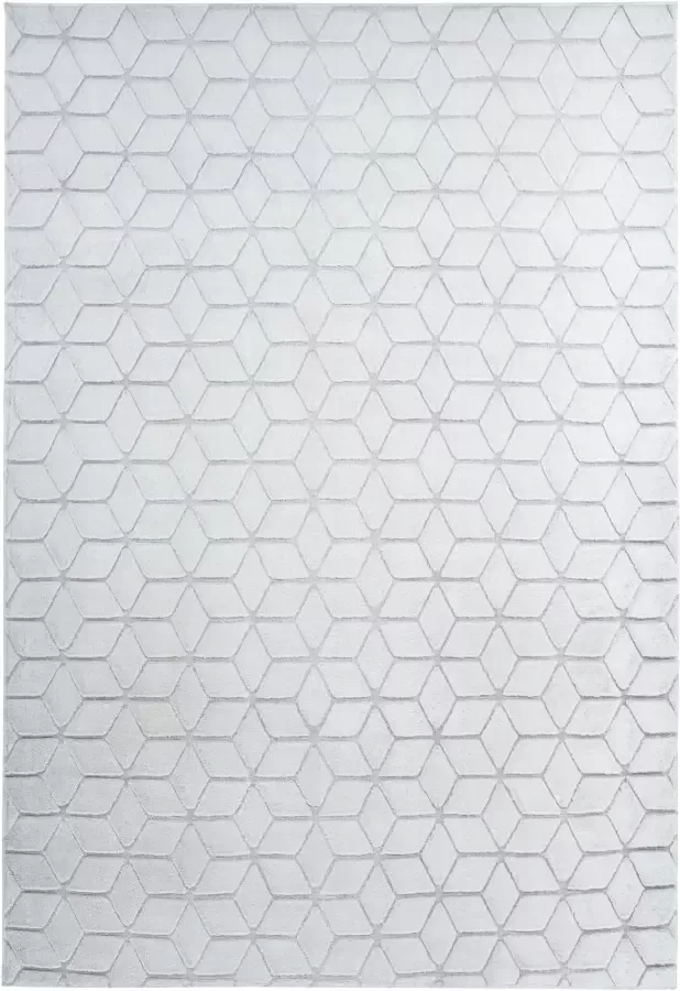 Calo-deluxe Vloerkleed Jardan-1000 bijzonder zacht door microvezel woonkamer - Foto 2