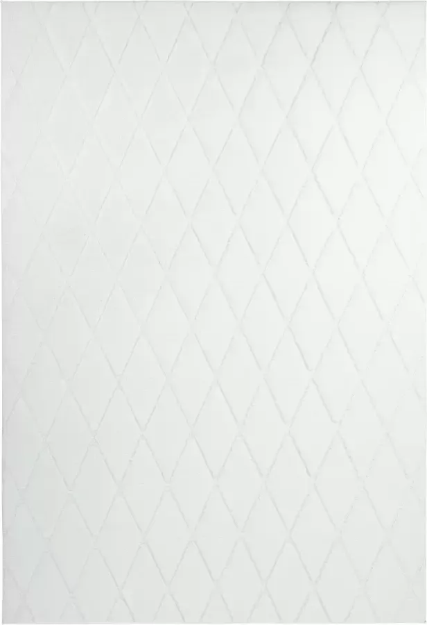 Calo-deluxe Vloerkleed Jardan-2000 bijzonder zacht door microvezel ruitdessin - Foto 2
