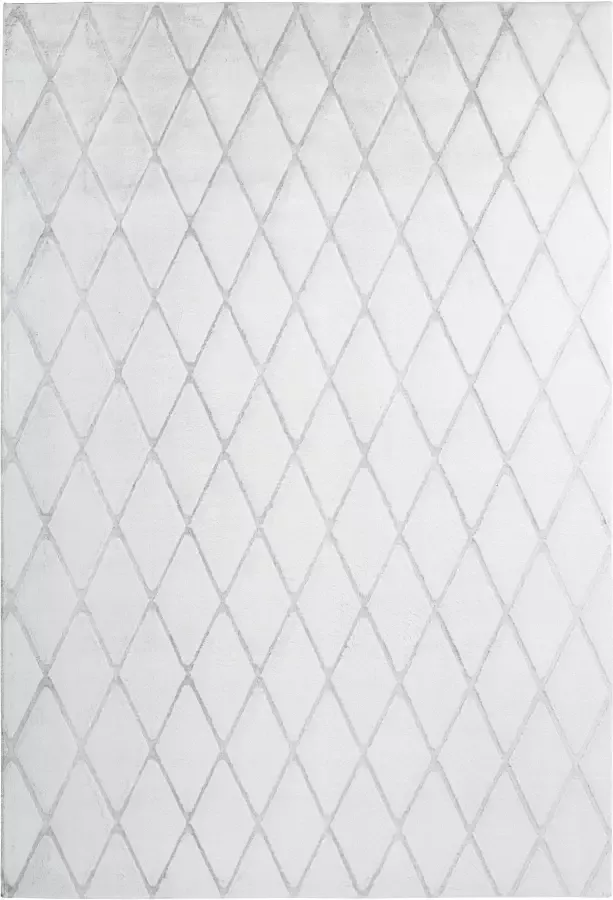 Calo-deluxe Vloerkleed Jardan-2000 bijzonder zacht door microvezel ruitdessin - Foto 2