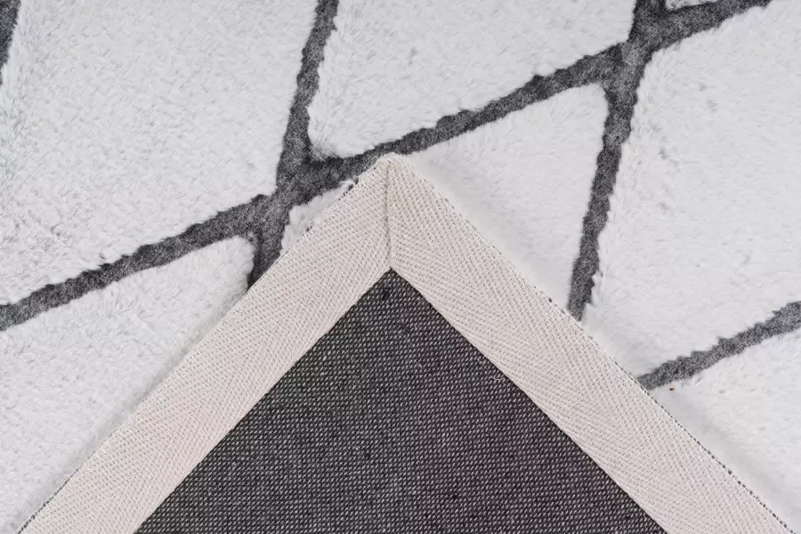 Calo-deluxe Vloerkleed Jardan-2000 bijzonder zacht door microvezel ruitdessin - Foto 4