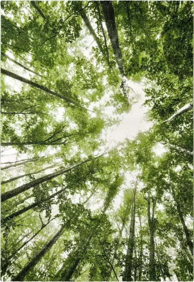 Merinos Vloerkleed BELIS BOMEN Laagpolig vloerkleed natuur bos motief voor alle kamers - Foto 4