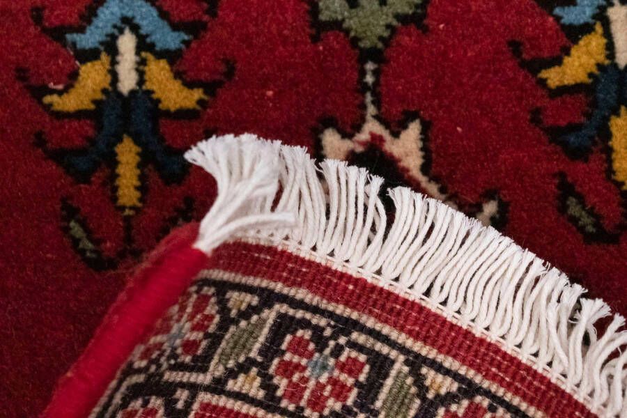 Morgenland Wollen kleed Ardebil vloerkleed met de hand geknoopt rood - Foto 3