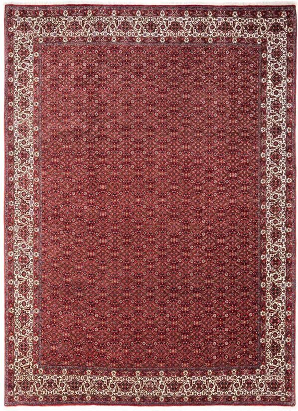 Morgenland Wollen kleed Bidjar Takab geheel gedessineerd rosso 340 x 252 cm - Foto 5