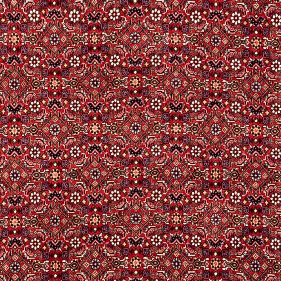 Morgenland Wollen kleed Bidjar Takab geheel gedessineerd rosso 340 x 252 cm - Foto 2