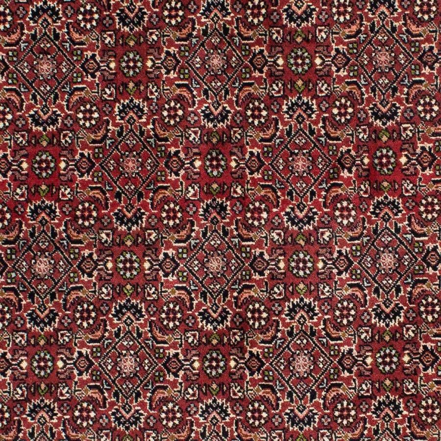 Morgenland Wollen kleed Bidjar Zanjan sterk gedessineerd rosso 208 x 139 cm - Foto 2