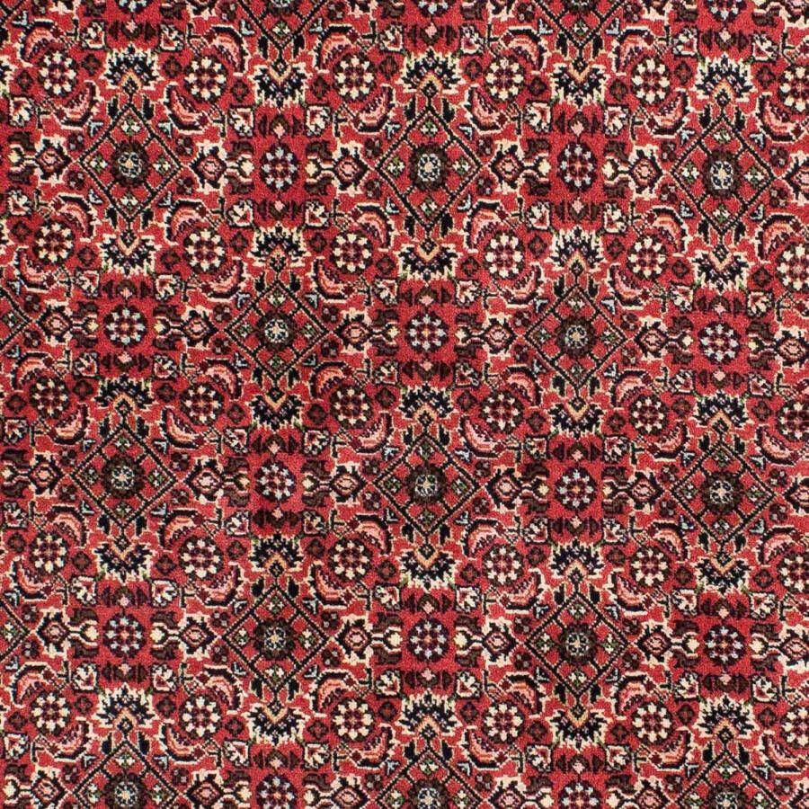 Morgenland Wollen kleed Bidjar Zanjan sterk gedessineerd rosso 208 x 139 cm - Foto 3