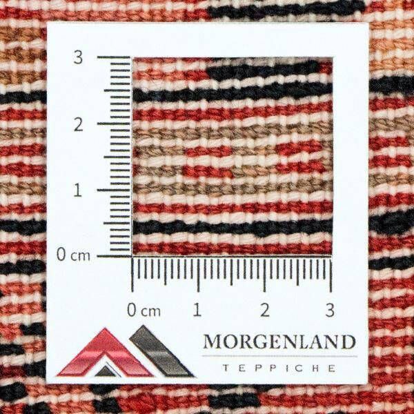 Morgenland Wollen kleed Nahavand vloerkleed met de hand geknoopt meerkleurig - Foto 6