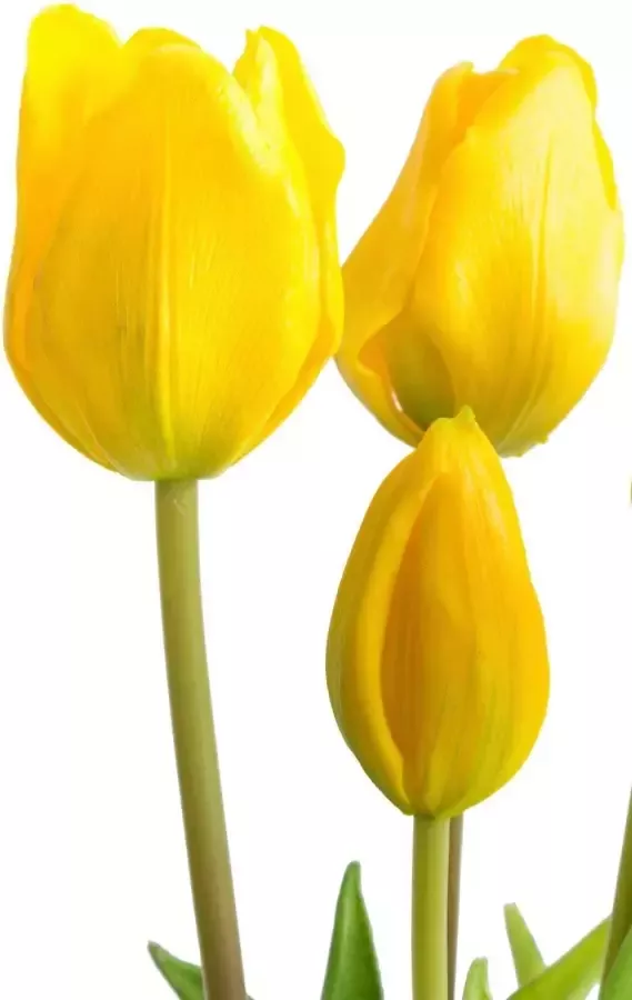 My home Kunstplant Maiva Bos tulpen in 7-delige set (set 7 stuks) - Foto 3