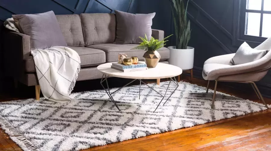 Myflair Möbel & Accessoires Hoogpolig vloerkleed Top shag voorraadopruiming geweven geruit design gemêleerde look zacht & behaaglijk met franje - Foto 9