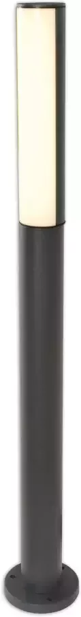 Näve Staande ledlamp voor buiten Flair Aluminium donkergrijs hoogte 90 cm IP54 warmwit licht (1 stuk) - Foto 2