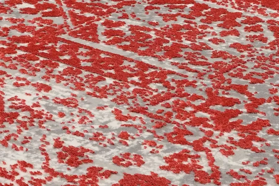 OCI DIE TEPPICHMARKE Vloerkleed COLOUR MEDI - Foto 4