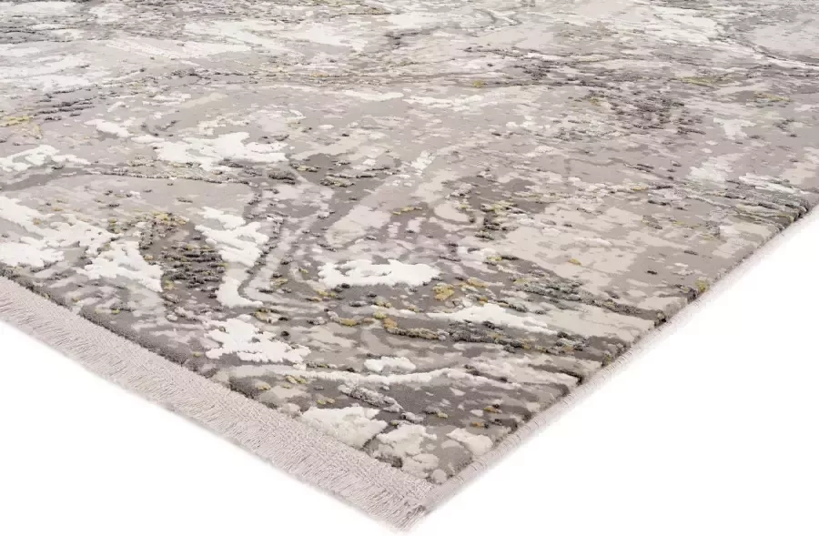 OCI DIE TEPPICHMARKE Vloerkleed You Glanzend viscose met franje woonkamer - Foto 5