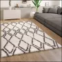 Paco Home Hoogpolig vloerkleed Maghreb 77 modern ruitendesign heerlijk zacht ideaal in de woonkamer & slaapkamer - Thumbnail 4