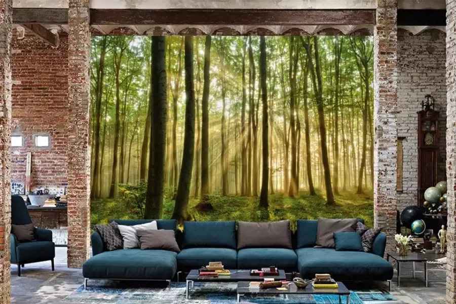 Papermoon Fotobehang Forest