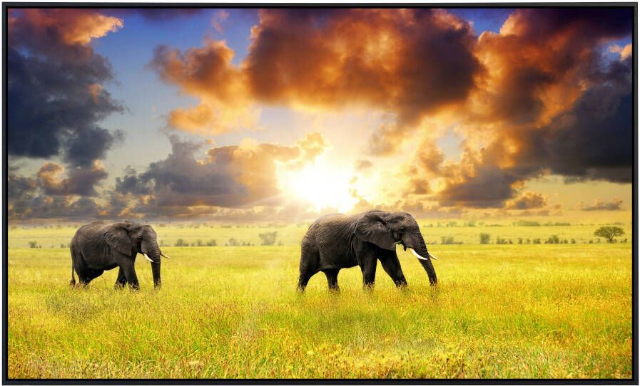 Papermoon Infraroodverwarming Afrikaanse olifanten zeer aangename stralingswarmte - Foto 5