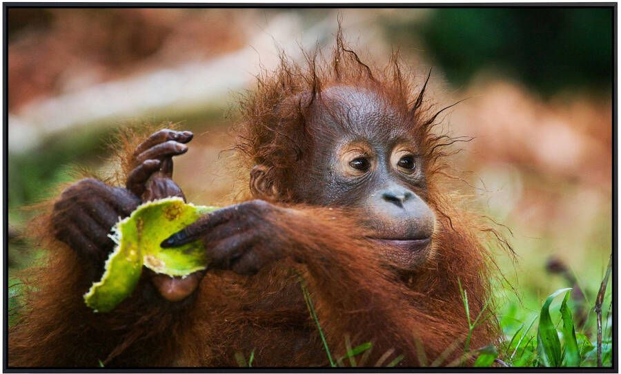 Papermoon Infraroodverwarming Baby orang oetan portret zeer aangename stralingswarmte - Foto 5