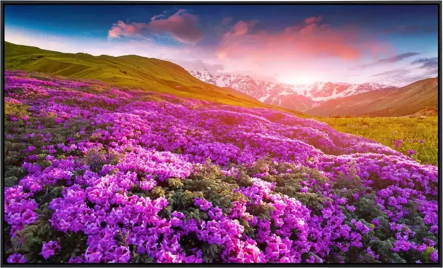 Papermoon Infraroodverwarming Bergen bloemen zeer aangename stralingswarmte - Foto 5