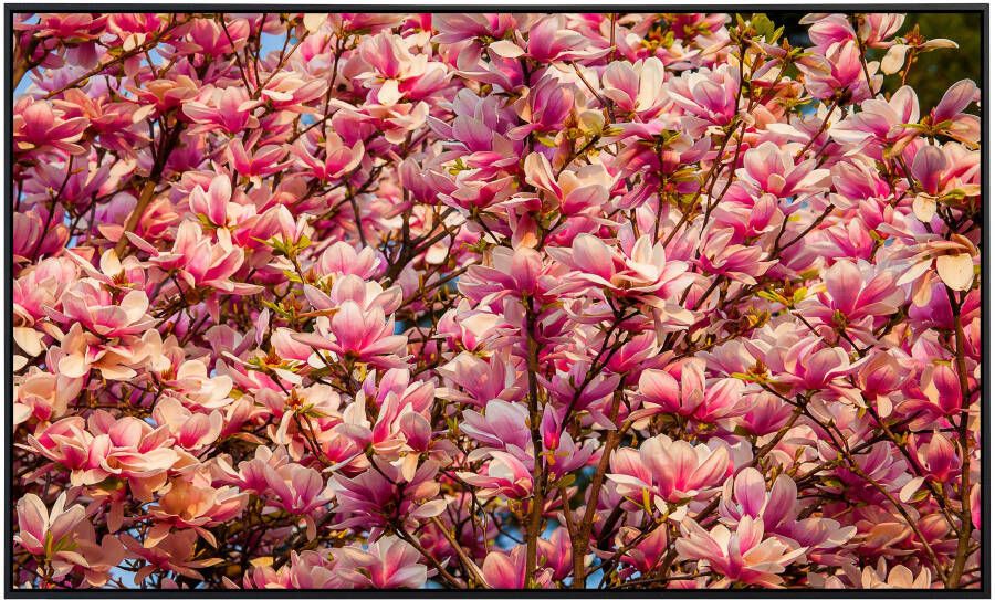Papermoon Infraroodverwarming Bloemen boom zeer aangename stralingswarmte - Foto 5
