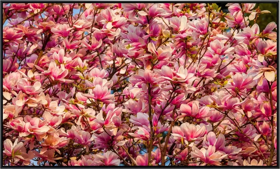 Papermoon Infraroodverwarming Bloemen boom zeer aangename stralingswarmte - Foto 5