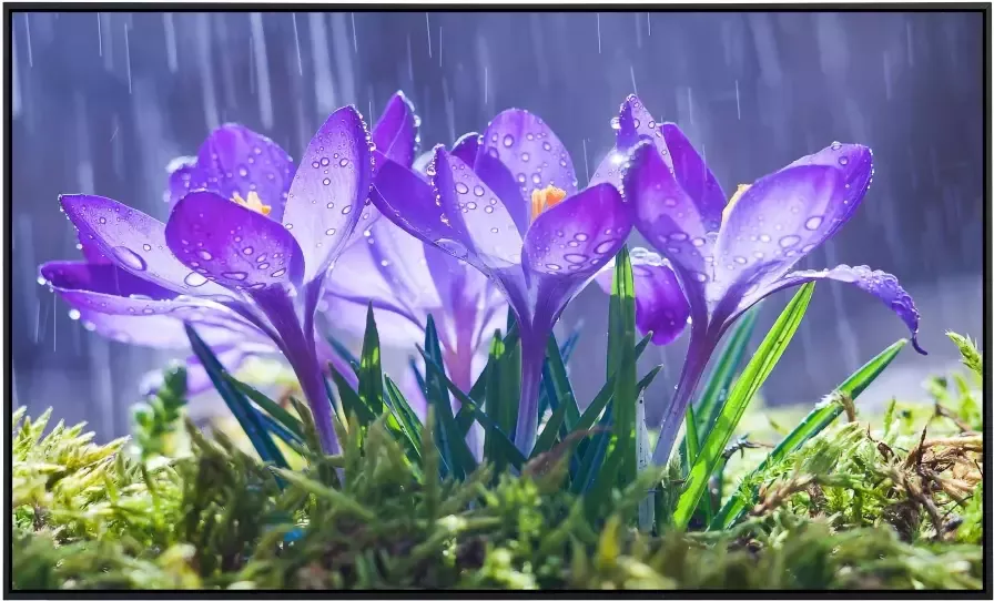 Papermoon Infraroodverwarming Bloemen in de regen zeer aangename stralingswarmte - Foto 5