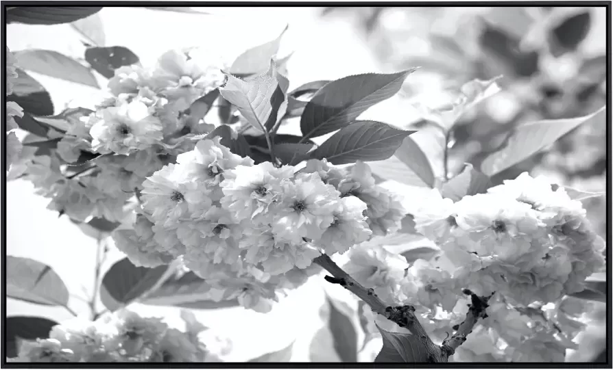 Papermoon Infraroodverwarming Bloemen zwart & wit zeer aangename stralingswarmte - Foto 5