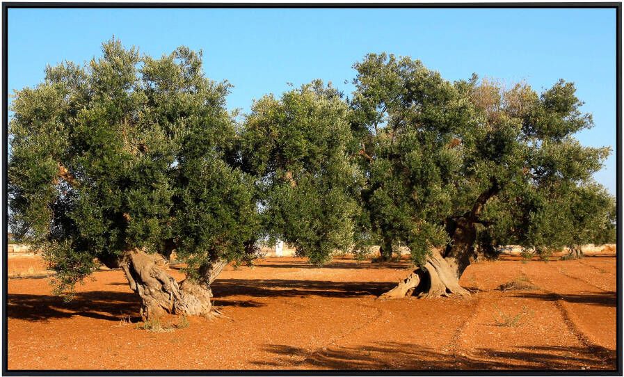 Papermoon Infraroodverwarming Bomen in landschap zeer aangename stralingswarmte - Foto 5