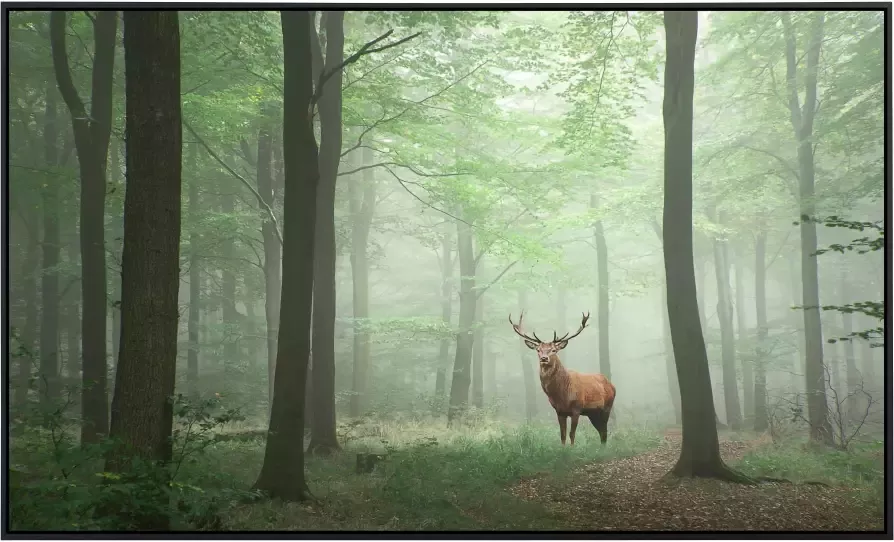 Papermoon Infraroodverwarming Edelhert in het bos zeer aangename stralingswarmte - Foto 5