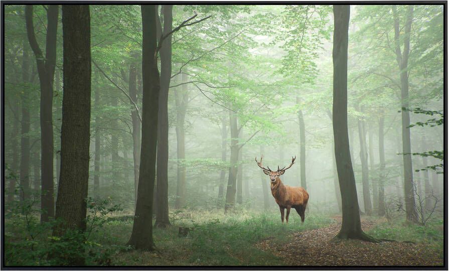 Papermoon Infraroodverwarming Edelhert in het bos zeer aangename stralingswarmte - Foto 5