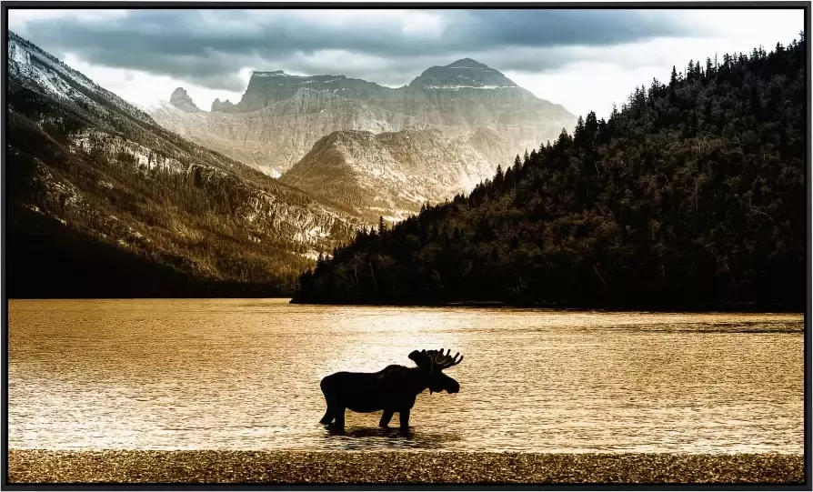 Papermoon Infraroodverwarming Eland in Waterton meer zeer aangename stralingswarmte - Foto 5